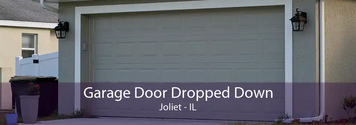 Garage Door Dropped Down Joliet - IL