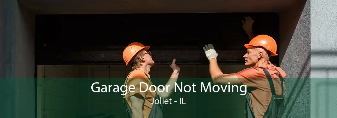 Garage Door Not Moving Joliet - IL